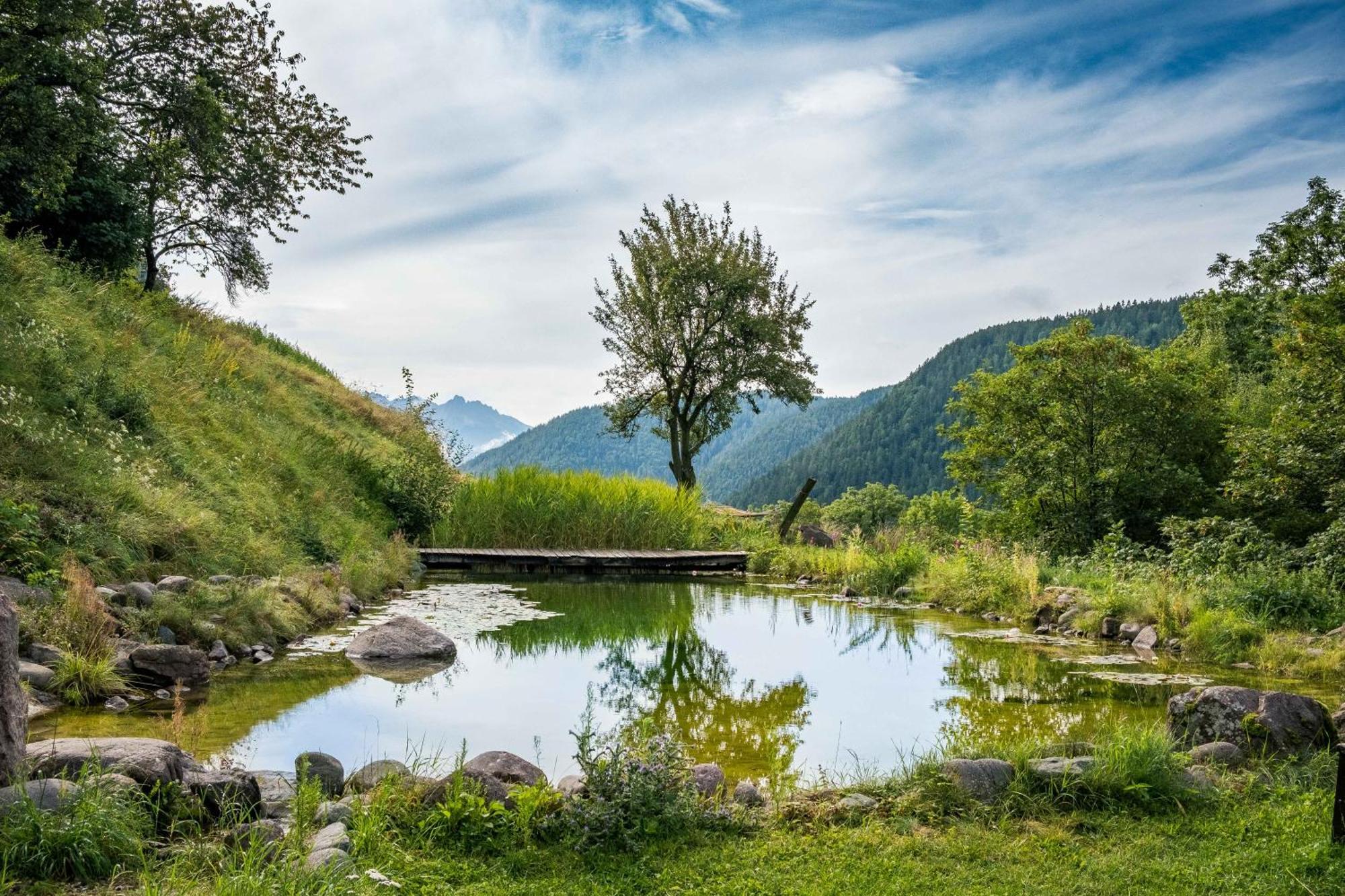 Villa Burgerhof San Genesio Atesino Esterno foto