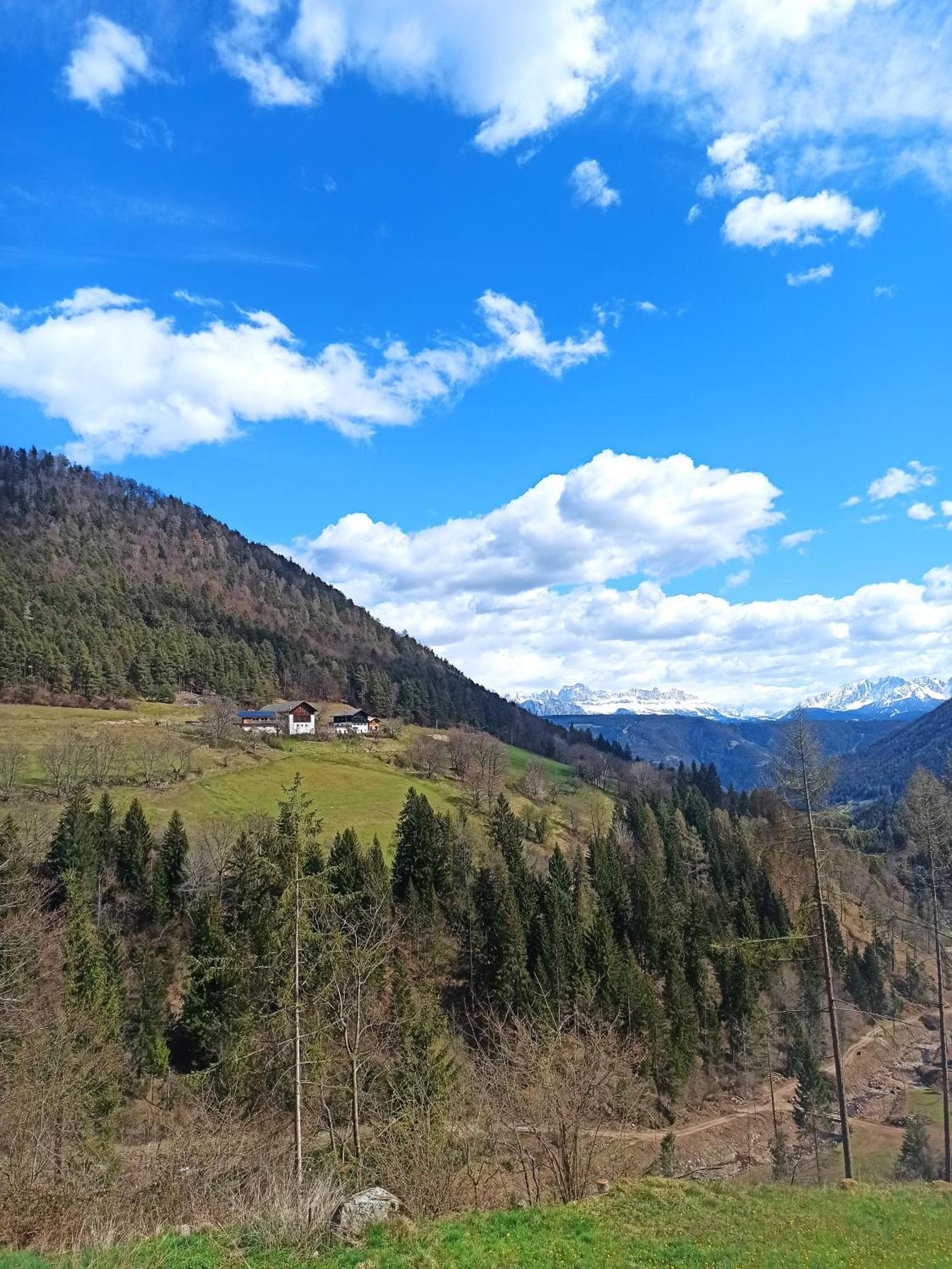 Villa Burgerhof San Genesio Atesino Esterno foto